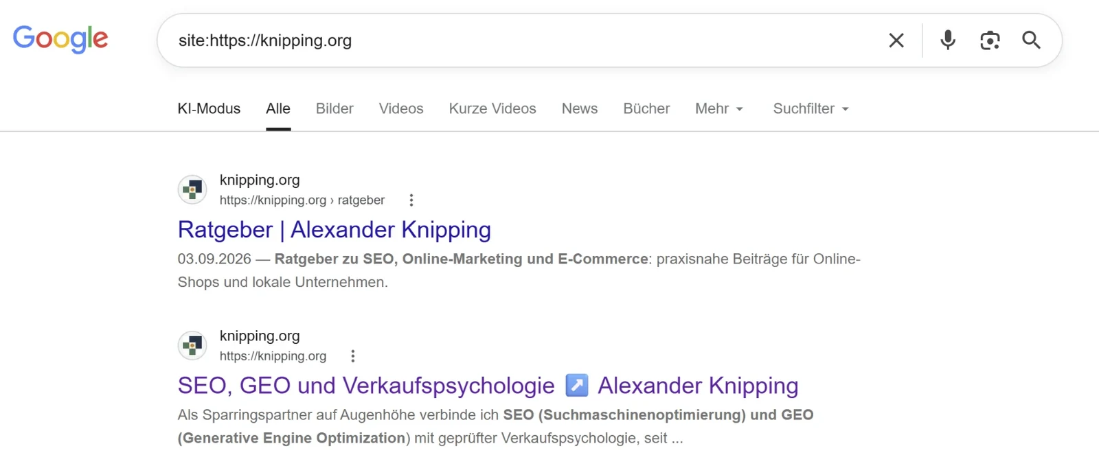 Google-Suche mit der Abfrage site:knipping.org, darunter zwei indexierte Seiten der Domain.